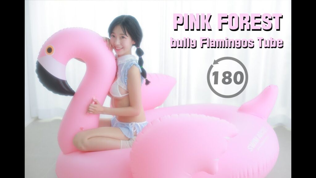 017.bully Flamingos Tube FULL 180 3D VR 학튜브 괴롭히기VR